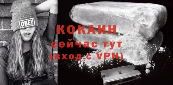 соль ск Белокуриха