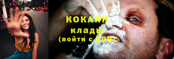 соль ск Белокуриха