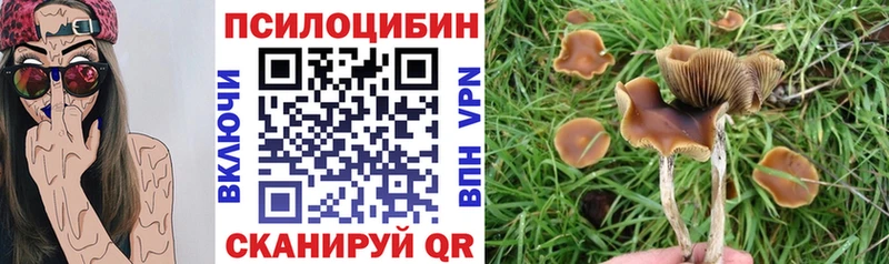 shop клад как найти закладки Ногинск Псилоцибиновые грибы Psilocybine cubensis МЕГА онион
