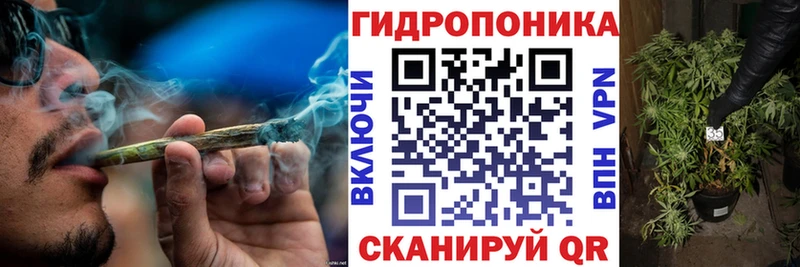 Шишки марихуана индика  гидра сайт  Ногинск 
